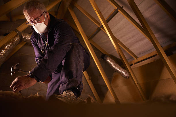 Best Geographic-Specific Insulation Services in Maytown, PA